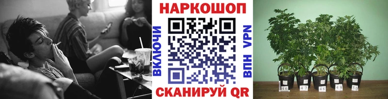  COCAIN Феодосия