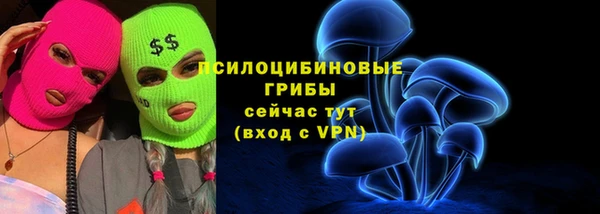 гидра Алексин