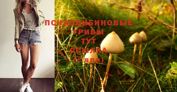 каннабис Алзамай