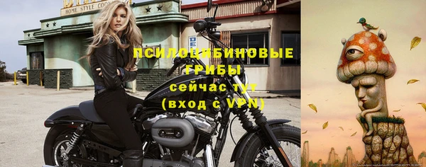 гидра Алексин