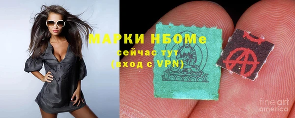 гидра Алексин